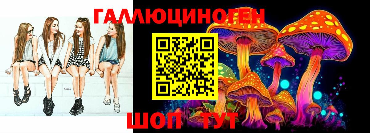 Псилоцибиновые грибы Cubensis  Вход с VPN  Еманжелинск 