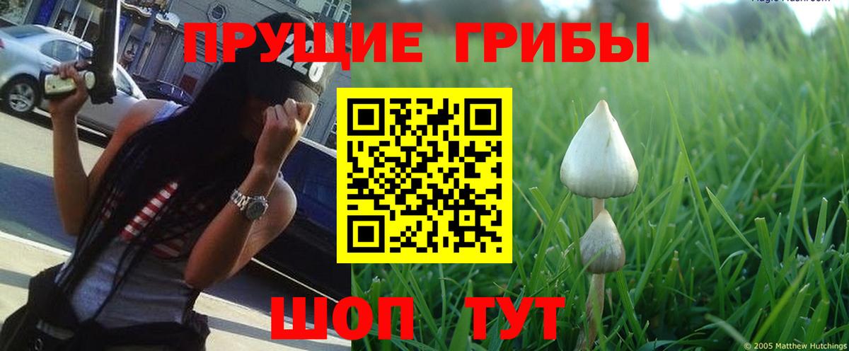 Галлюциногенные грибы прущие грибы Еманжелинск